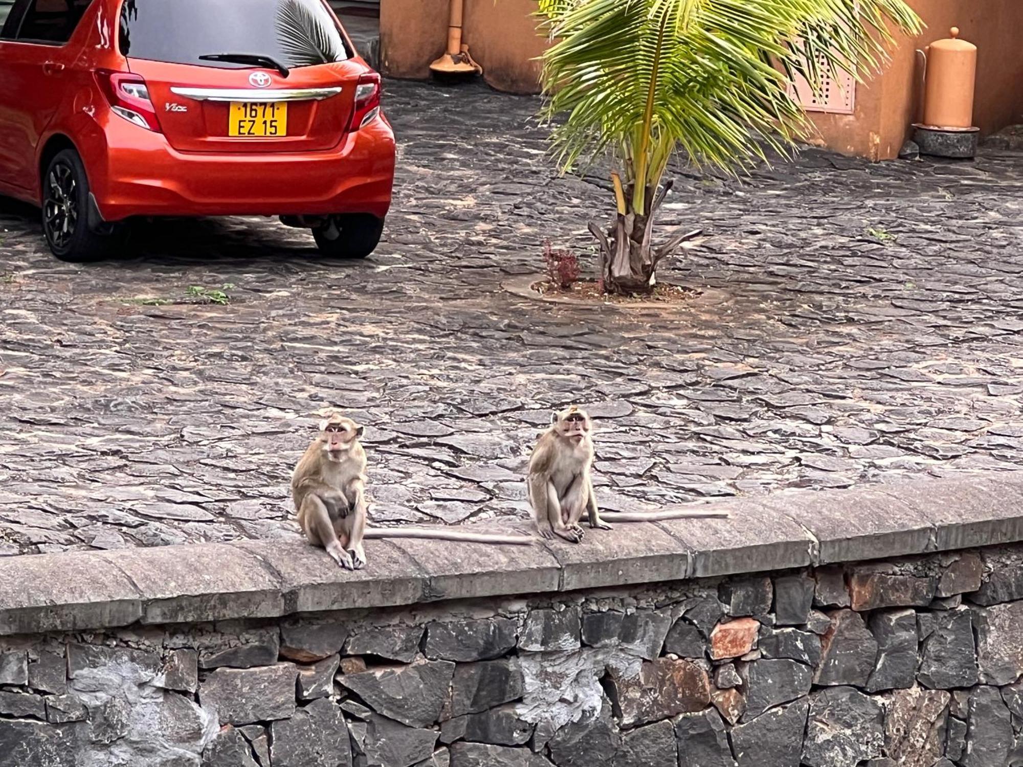 Villa In Port Chambly ,Mauritius Terre Rouge  エクステリア 写真